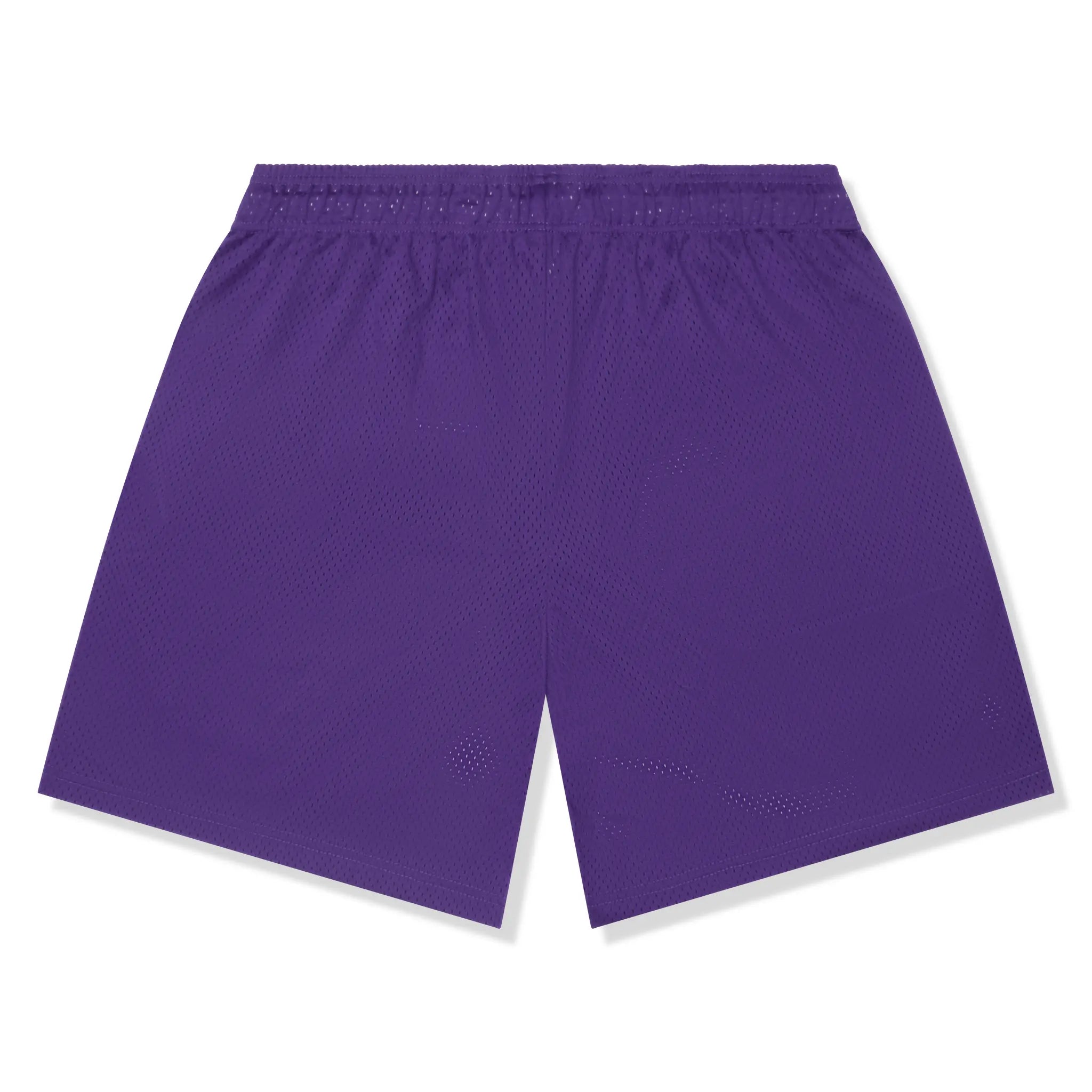 Back View of Eric Emanuel x Warren Lotas Purple Yellow Shorts (FW24)
